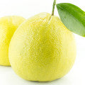 برغموت