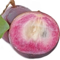 نجمة التفاح